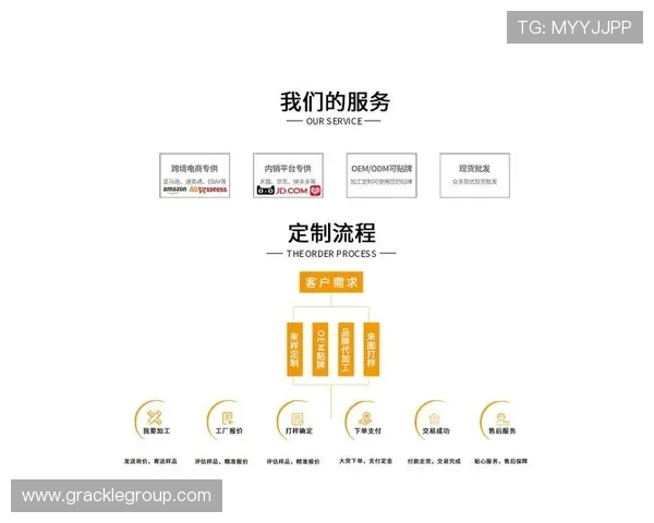 尊龙网址集团官网产品与服务详细介绍满足不同用户需求