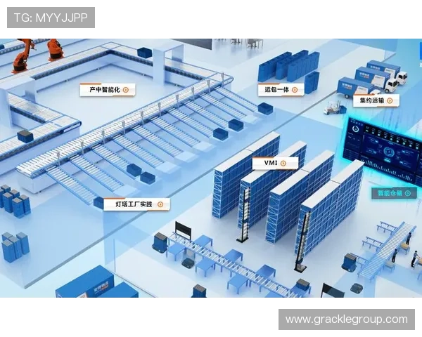 Z6集团登录常见问题及解决方案，提升登录体验与效率