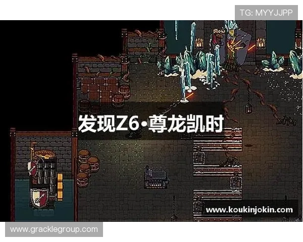 探索z6尊龙官方网站的多样化游戏选择与丰富奖金