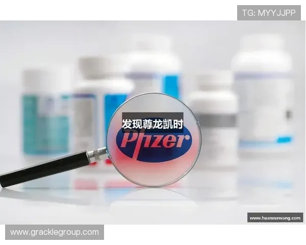 尊龙app下载网址大全:最新版本软件下载和更新指南大全 尊龙app下载网址大全:最新版本软件下载和更新指南大全