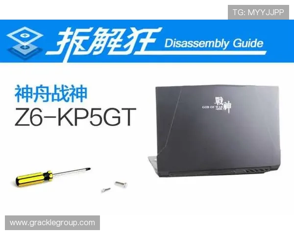 Z6尊龙电子游戏平台的客户服务体系与常见问题解决方案详解