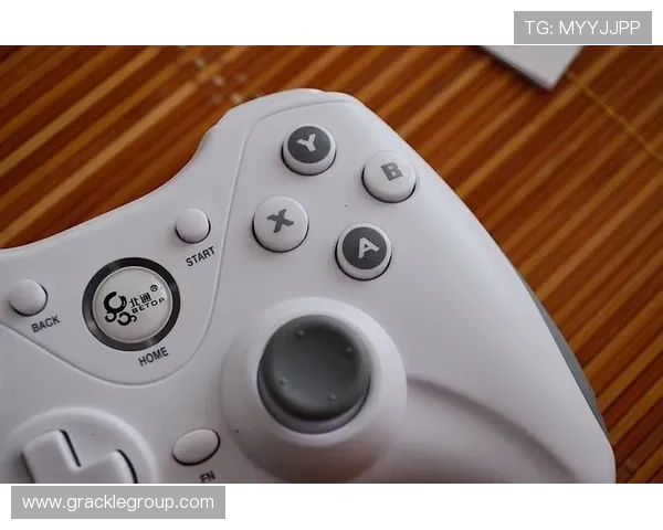 尊龙z6官网网页版安全登录指南，详细步骤帮助玩家顺利进入游戏体验最佳娱乐效果