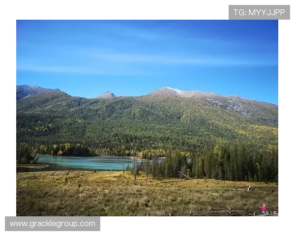 尊龙z6.com地址平台介绍多渠道访问方式提升游戏体验和安全保障
