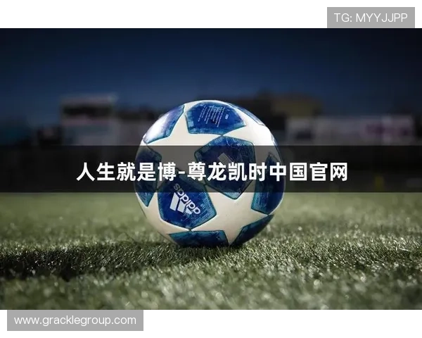 尊龙凯时认识就是博：行业专家解析尊龙凯时的市场定位与用户群体特征