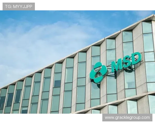 尊龙z6旗舰厅客户端常见问题及解决方案,快速排除使用中的各种困扰 尊龙z6旗舰厅客户端常见问题及解决方案,快速排除使用中的各种困扰