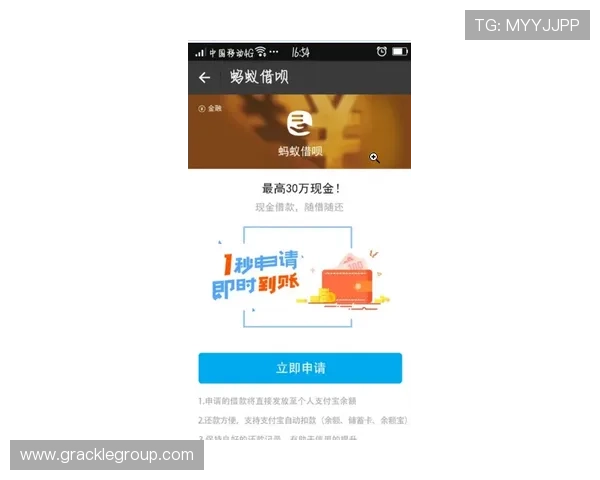 凯时尊龙平台充值提现流程详解确保资金安全高效完成每一次交易体验